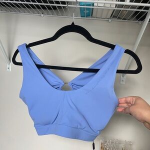 Gym Shark x Whitney Simmons Sports Bra (Medium) in Beautiful Blue | New w/ tags!